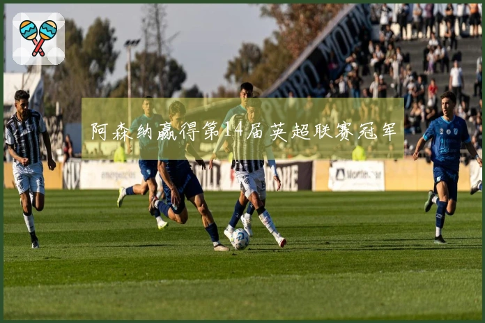 阿森纳赢得第14届英超联赛冠军