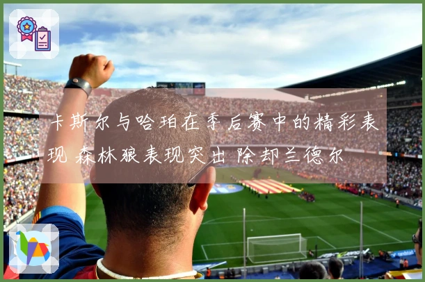 卡斯尔与哈珀在季后赛中的精彩表现 森林狼表现突出 除却兰德尔